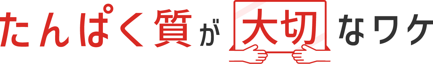 たんぱく質が大切なワケ